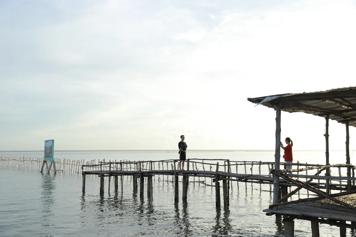 he-sinh-thai-rung-ngap-man-ca-mau.webp