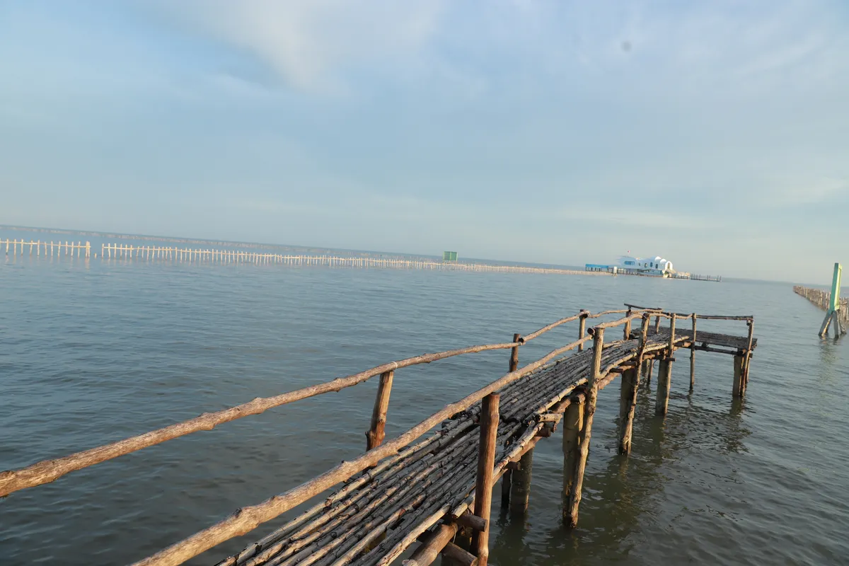 binh-minh-dat-mui-ca-mau.webp
